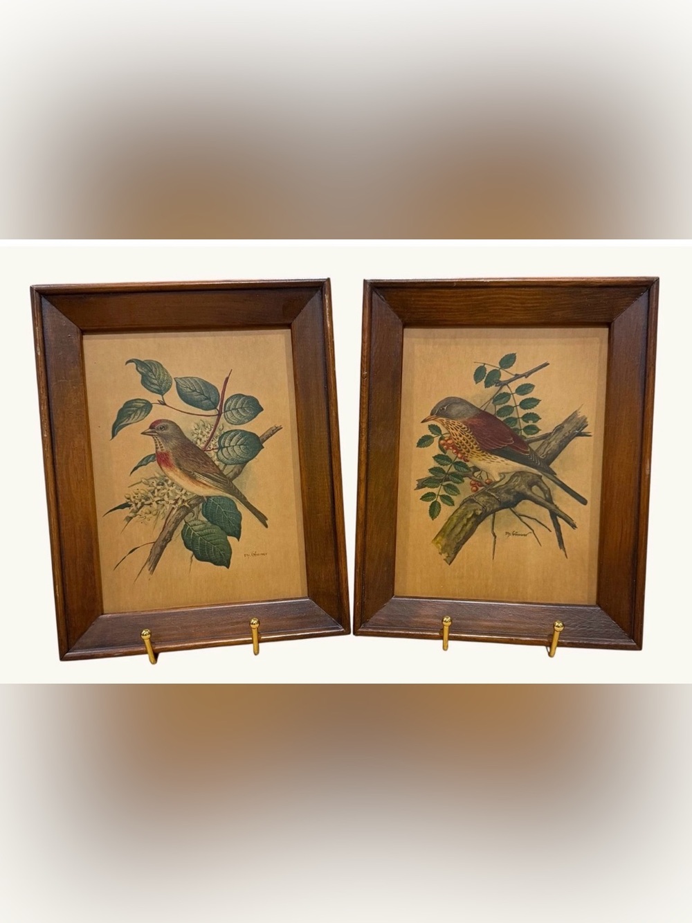 Bird Prints Set Of 2 Wood Thrush Redpoll Linnet P.H. Gonner Framed Vintage